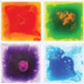 Fantázia nagy négyzetek - 6 db