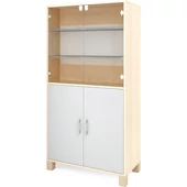 Szürke nagy szekrény üvegajtóval és ajtókkal