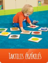 Taktilis érzékelés